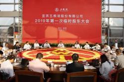 树立行业标杆，引领未来方向