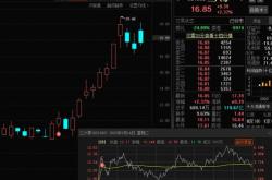 智能风云回调与崛起