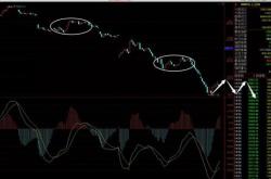 震有科技（）月日主力资金净卖出万元