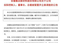 时隔两个月，这家股公司董事长再被立案调查实施留置，什么情况？