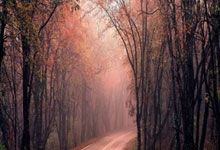 离婚前怎么转移财产不会被追回