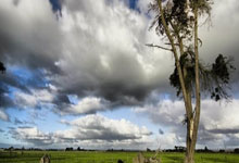 社会养老保险条例，保障未来，构筑稳定社会的基石