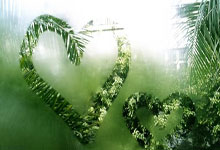 色弱人群考驾照，挑战与对策