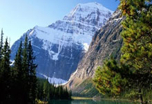 法律保障的基础