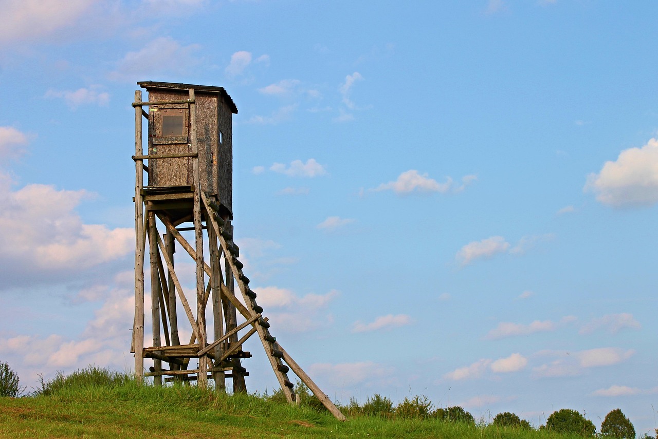 深入解析理邦仪器，医疗科技巨头的智慧脉动与未来展望