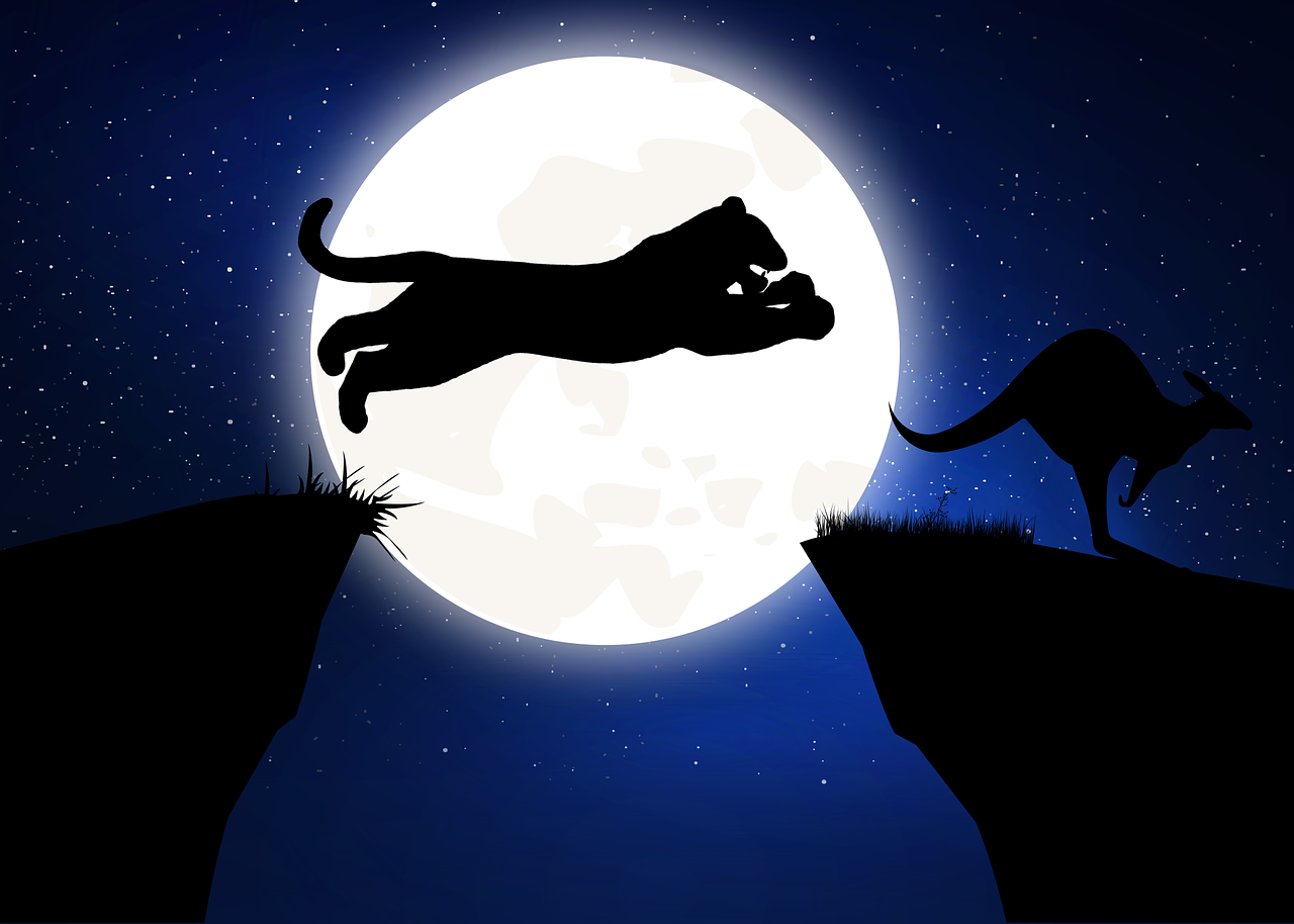 探索大鹅之死中的生存智慧