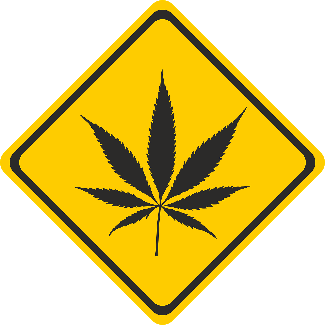 谱尼，科学检测的力量，守护健康与安全的盾牌