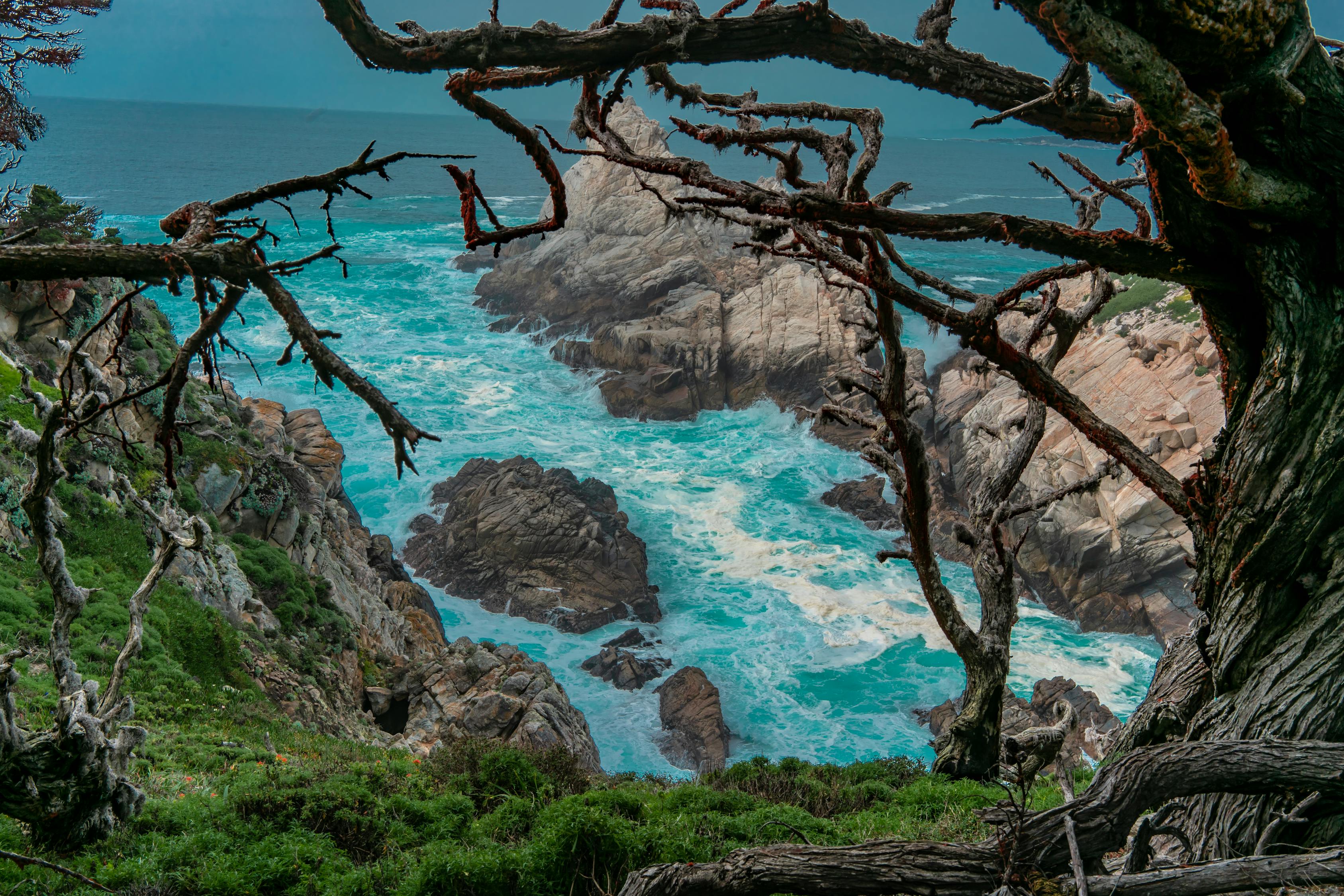 松景，自然之美与心灵之静的融合
