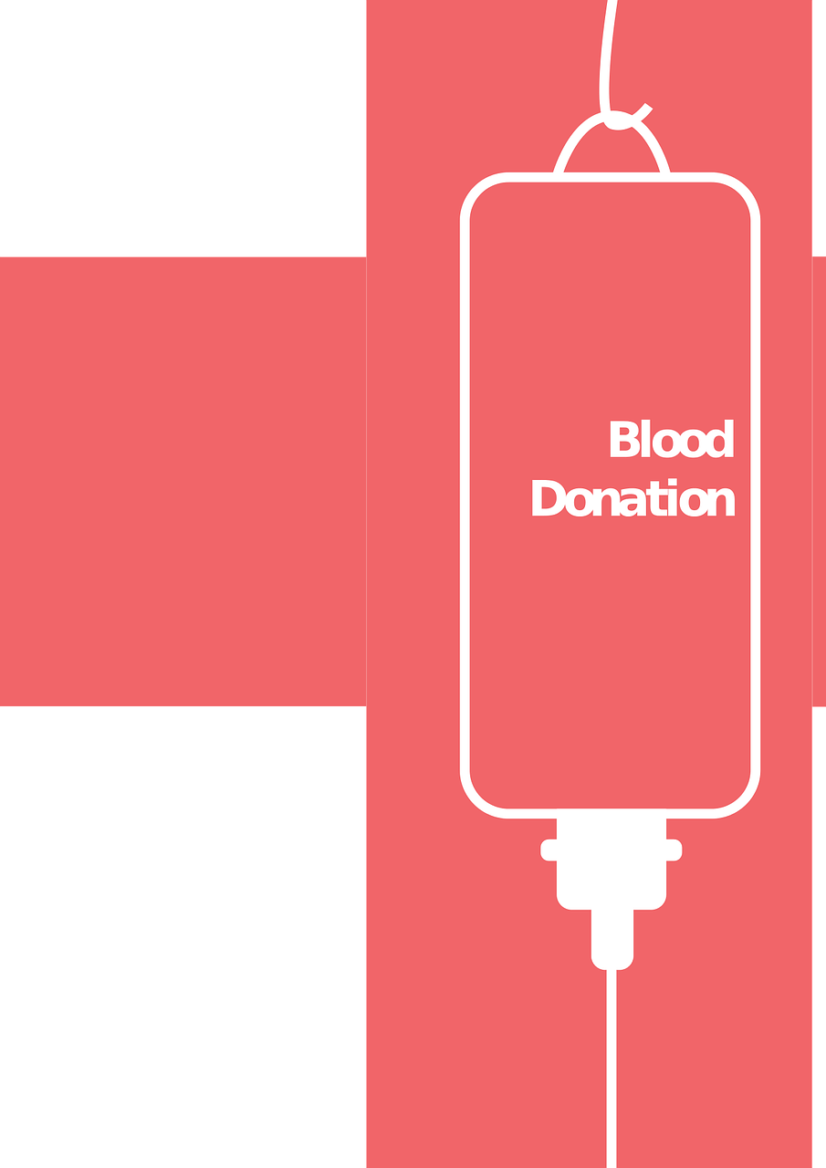 搜狐股价最新动态，市场分析与未来展望