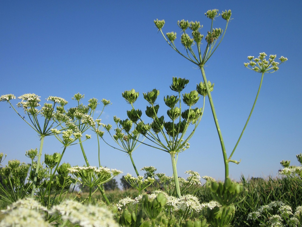 深入解析文华财经中的持仓量指标，市场动态的晴雨表