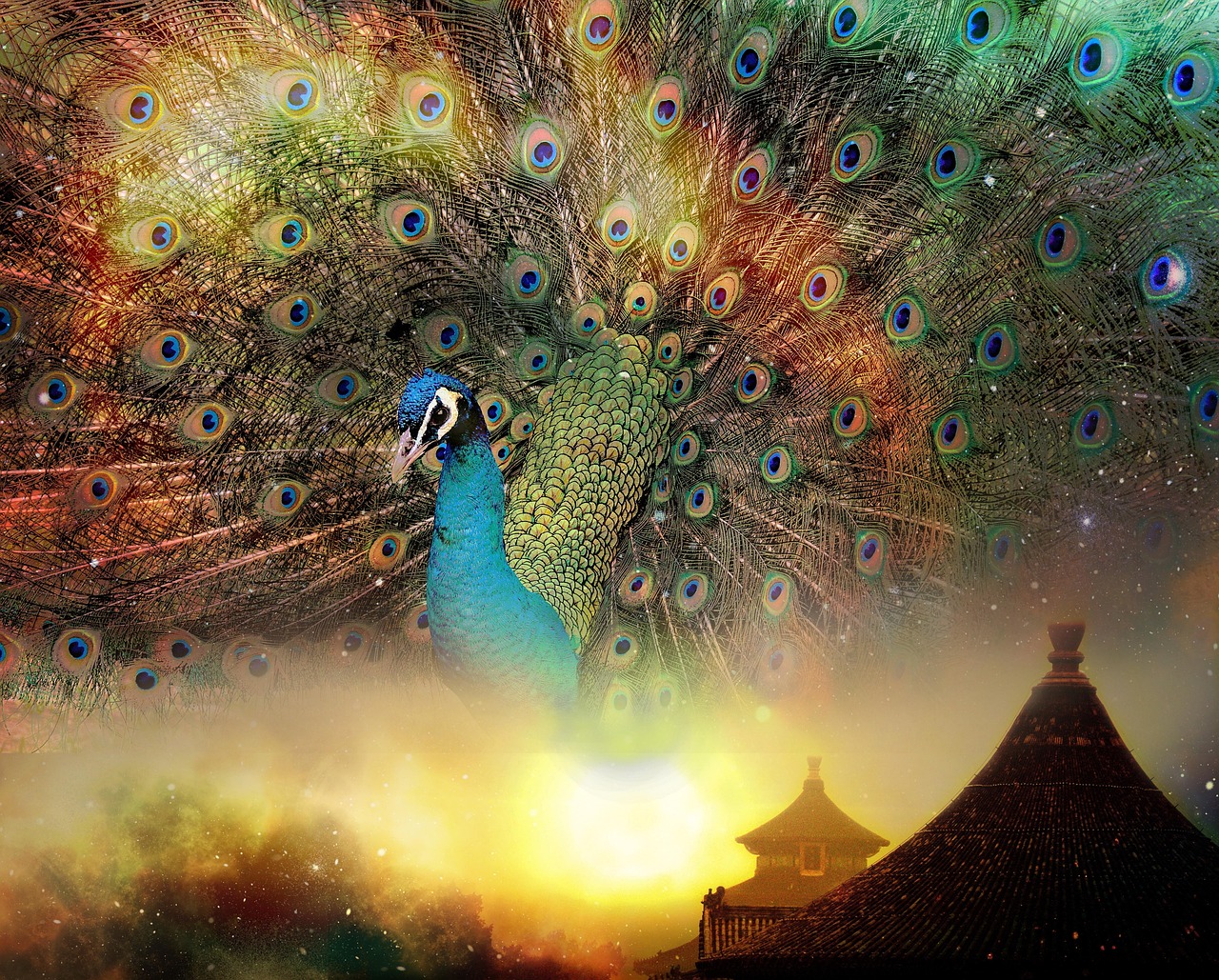 探索未来，明天科技如何塑造我们的生活