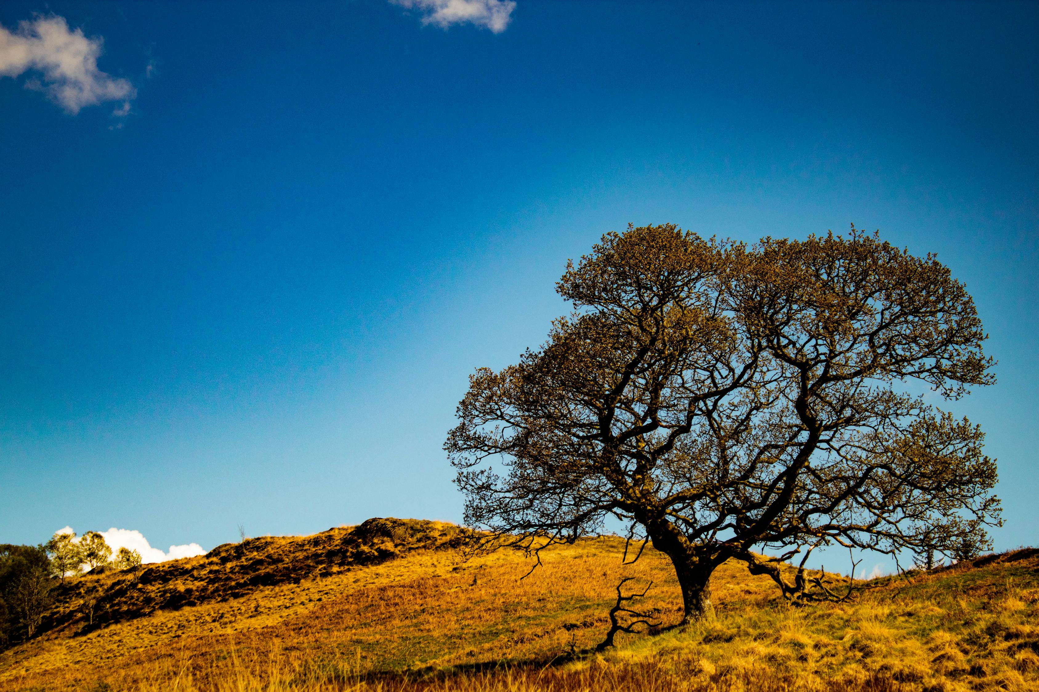 股市分析软件，洞察市场动态，把握投资机会