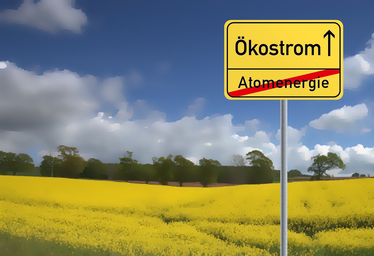 新天绿能，绿色能源革命的先锋