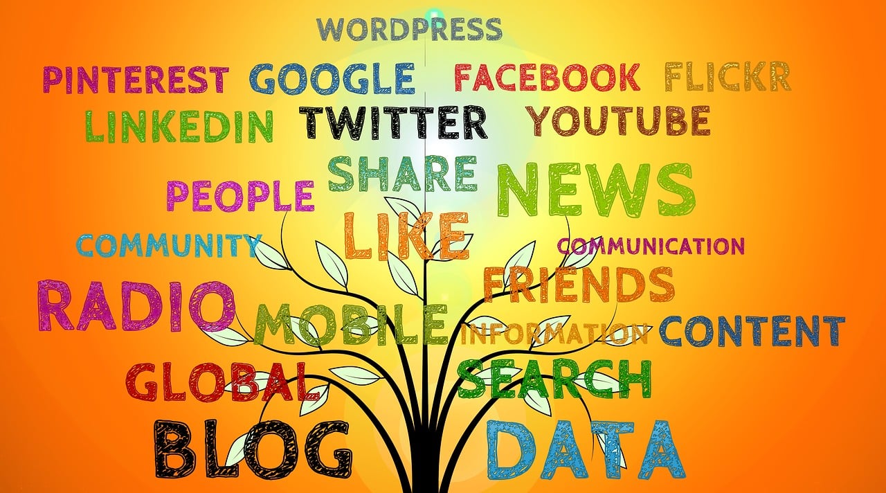 金鼎博客，自媒体时代的黄金法则与内容创作秘籍