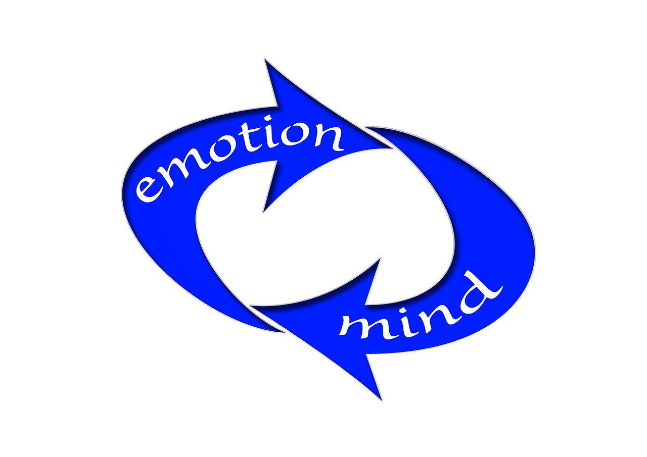 深圳投资者互动平台使用指南：让投资更透明、决策更高效