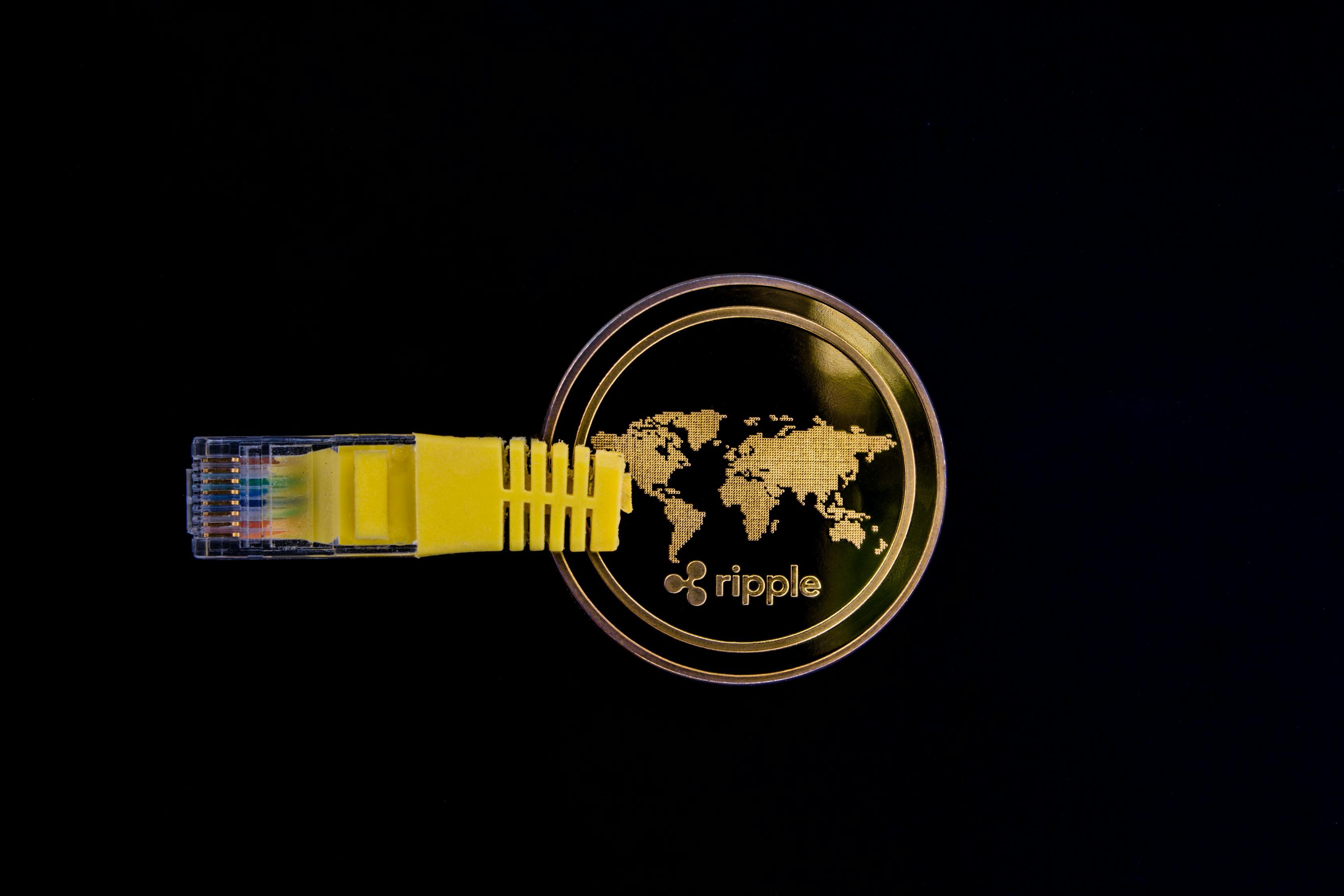 豆油与菜油ETF基金，投资者的新选择