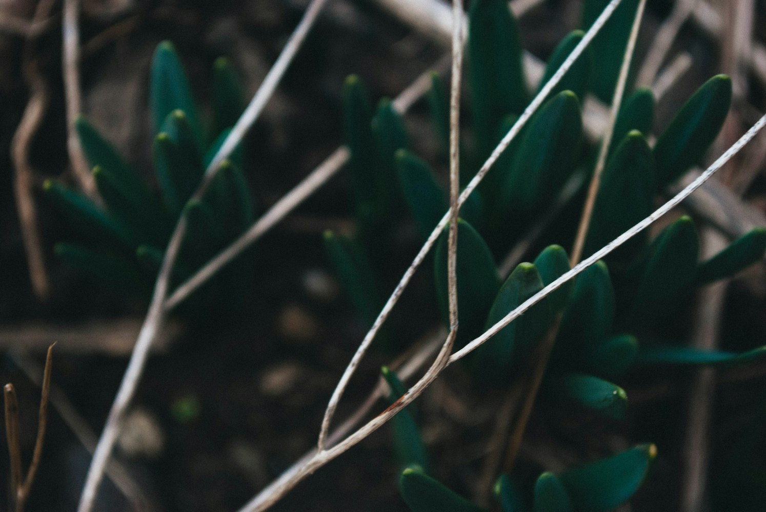 申基金，让创意之花在资助的土壤中绽放