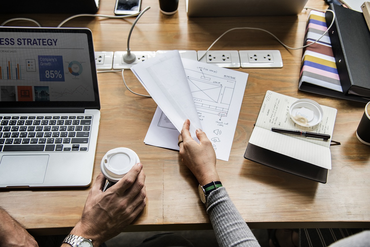 蚂蚁配售基金的规模与影响