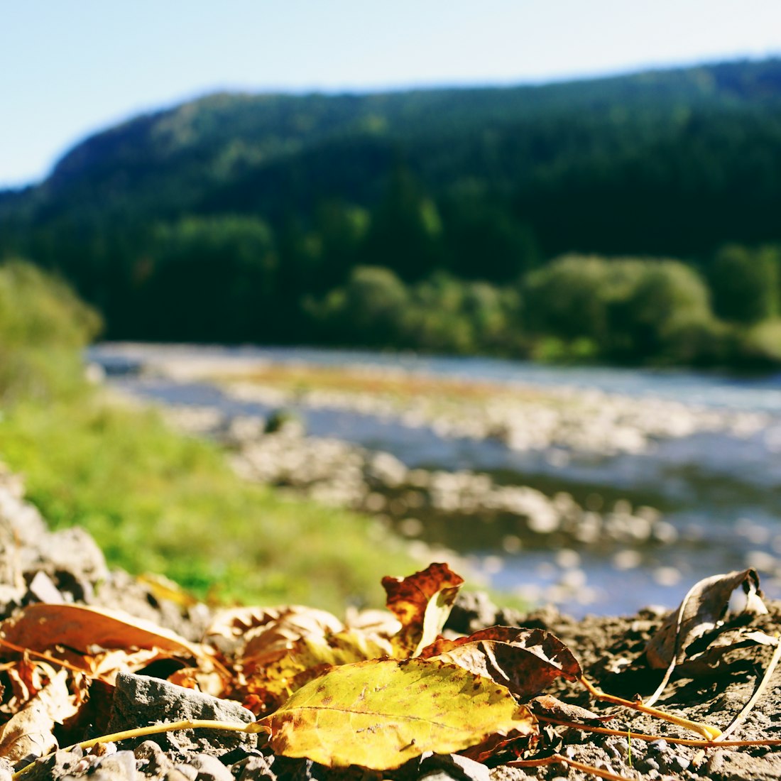 煤炭的一天基金,从开采到再投资的绿色循环