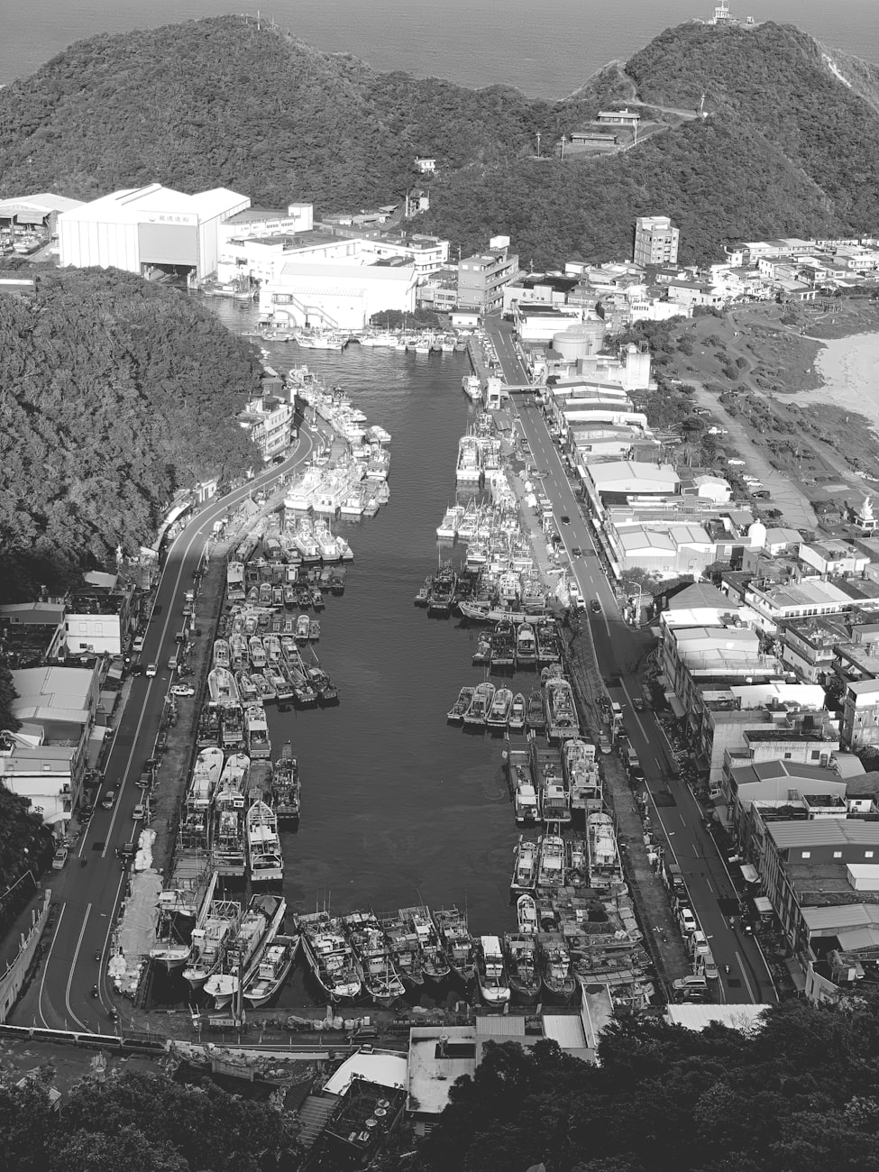 农村振兴的新引擎，探索基金公司在乡村振兴中的角色与影响