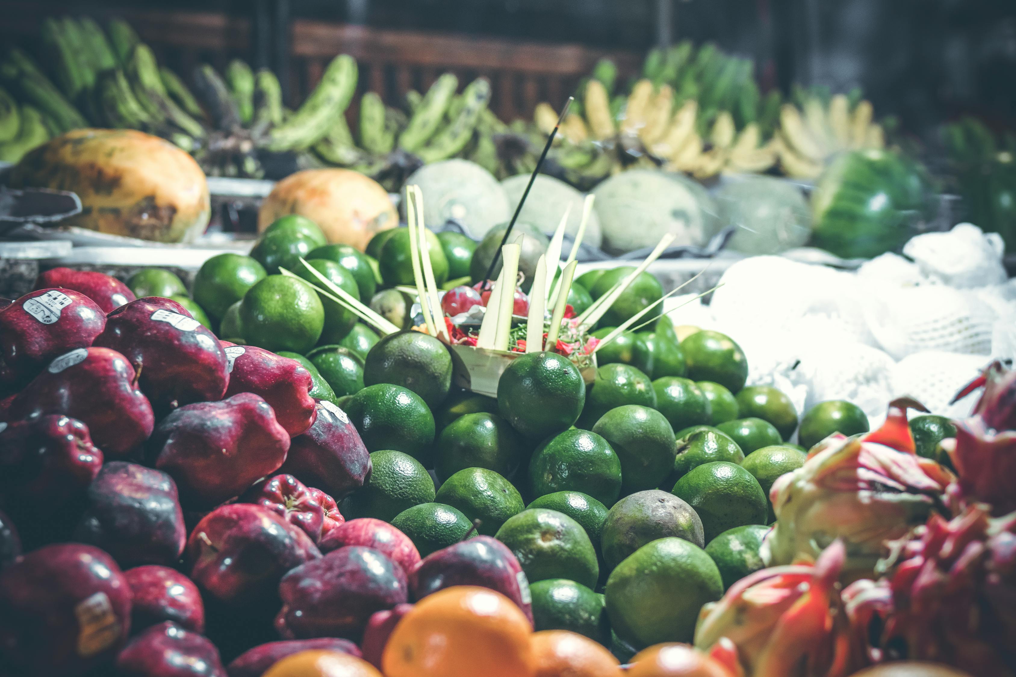 探索二胎生育基金的交费之道,从小树苗到大树的成长之旅