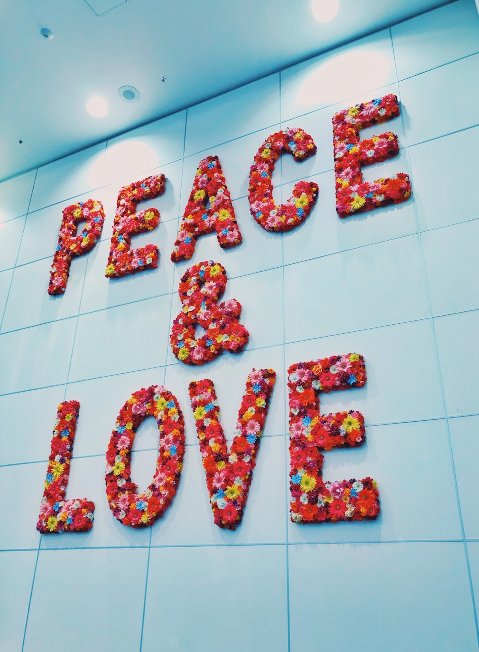 基金会员工的头像，传递温暖与责任的视觉符号