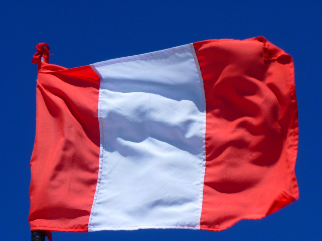 怎样挑选红色基金会，让你的投资更红火