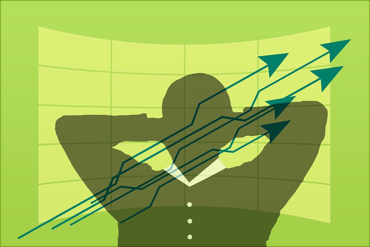 探索对冲基金配置策略的多样性与差异